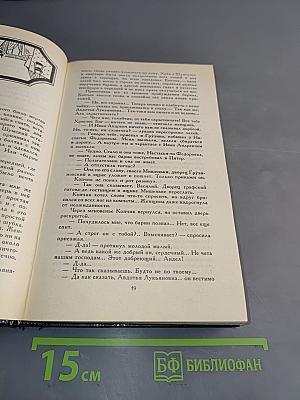 Аракчеевский сынок. Аракчеевский подкидыш