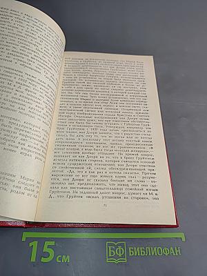 Групповой портрет с дамой. Книга 2