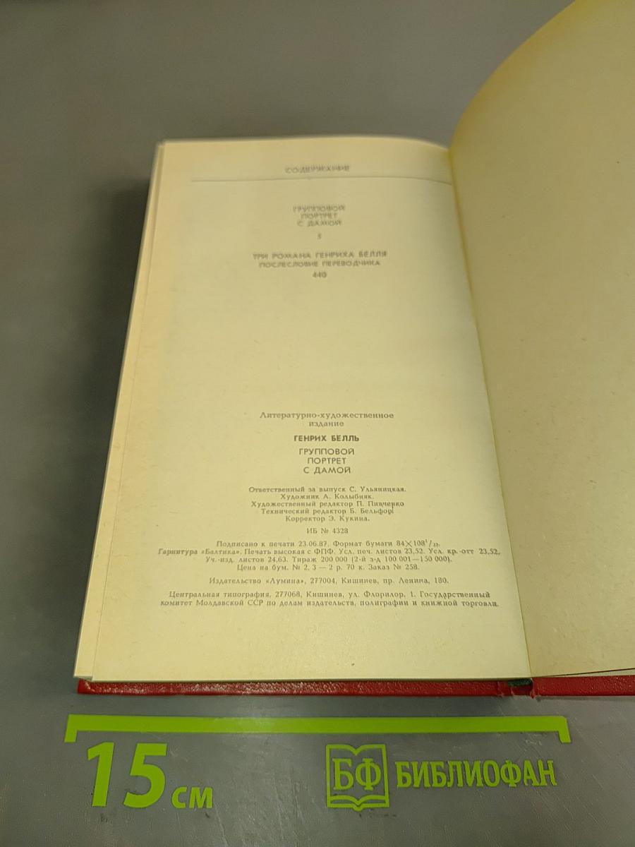 Групповой портрет с дамой. Книга 2