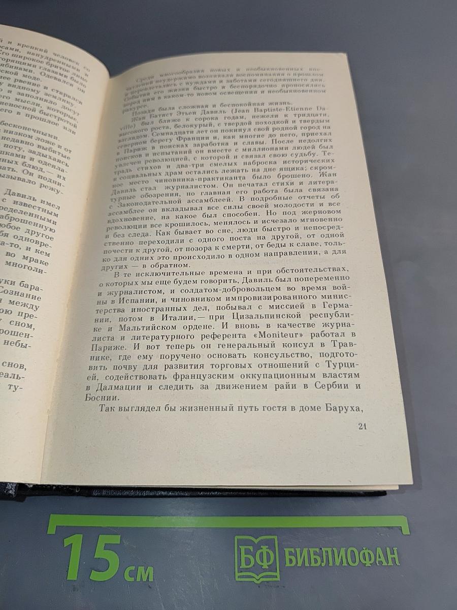Собрание сочинений. Том третий. Травницкая, Мост на Дрине