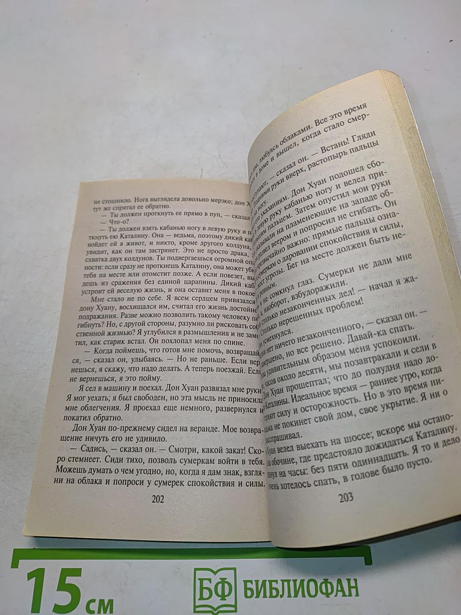 Особая реальность. Новые беседы с доном Хуаном