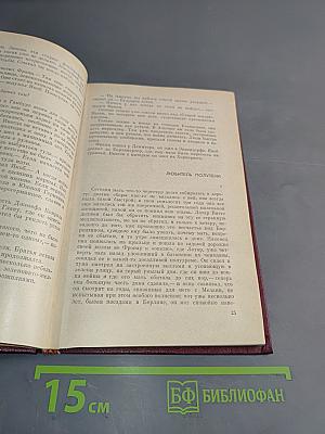 Рассказы