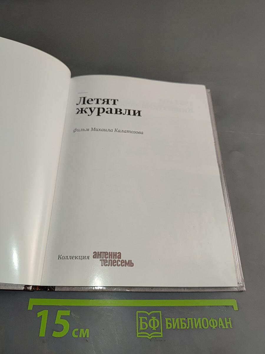 Летят журавли