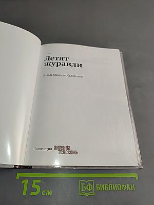 Летят журавли