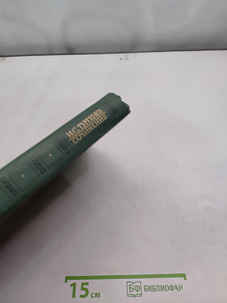 Сочинения в двух томах. Том второй. Повести и романы 1860-1876
