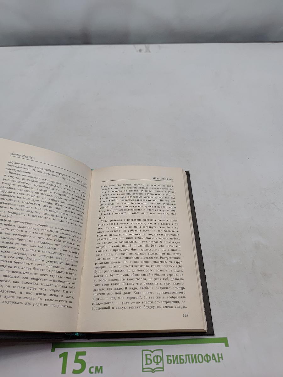 Стихи. Последние стихотворения. Озарения. Одно лето в аду