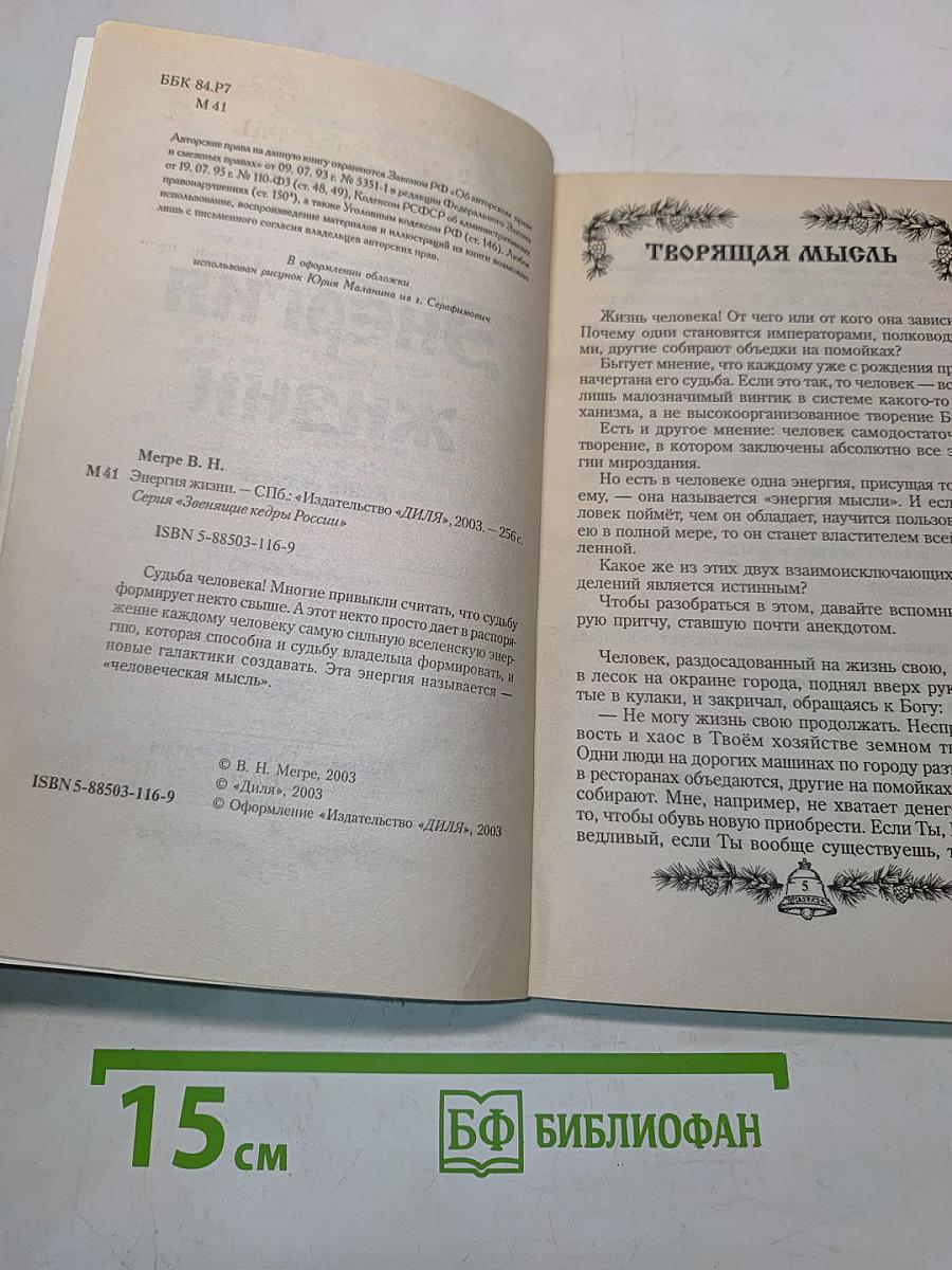 Энергия жизни. Книга седьмая