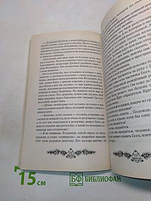 Анаста. Книга десятая