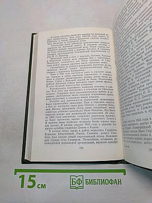 Псковщина партизанская