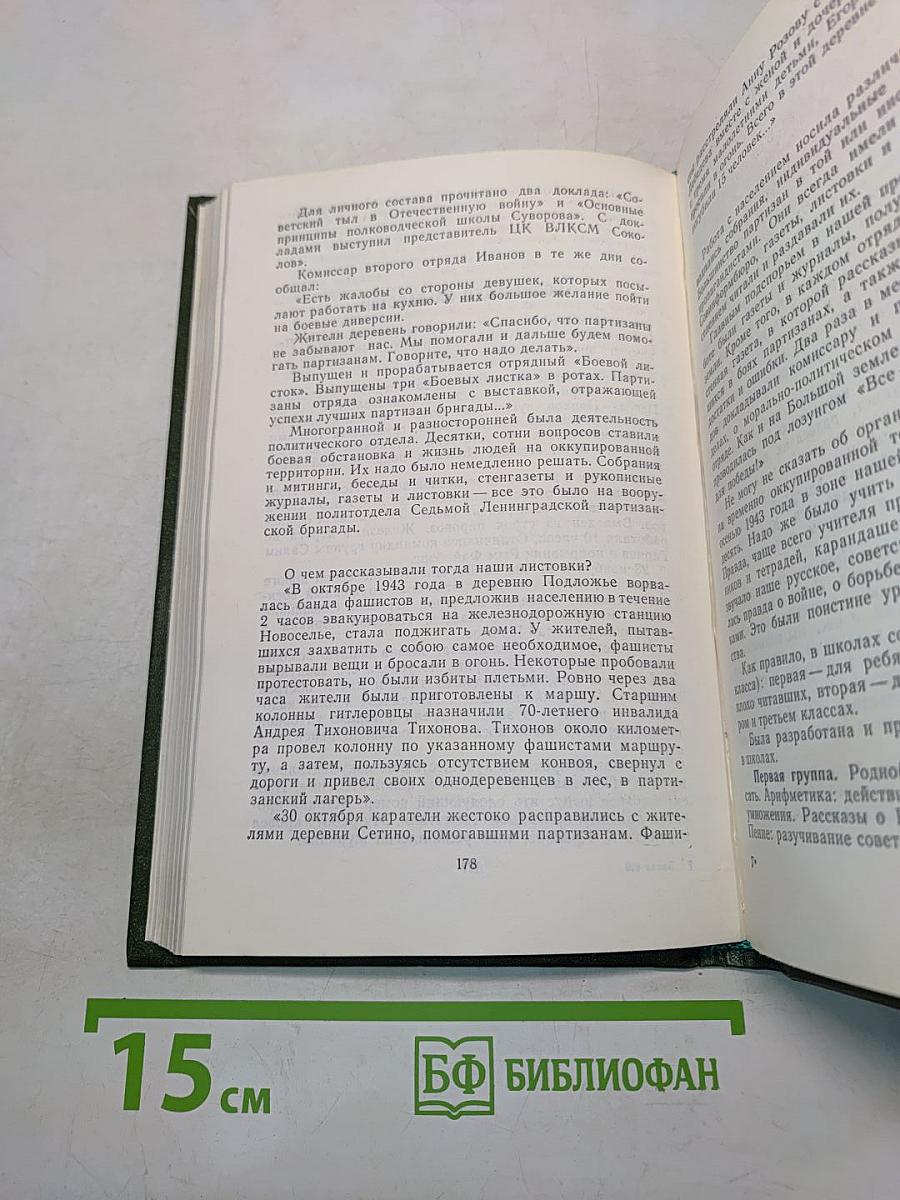 Псковщина партизанская