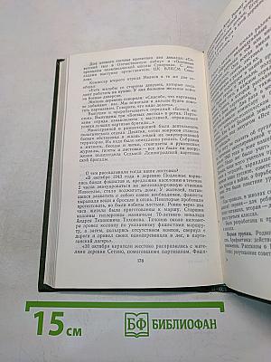 Псковщина партизанская