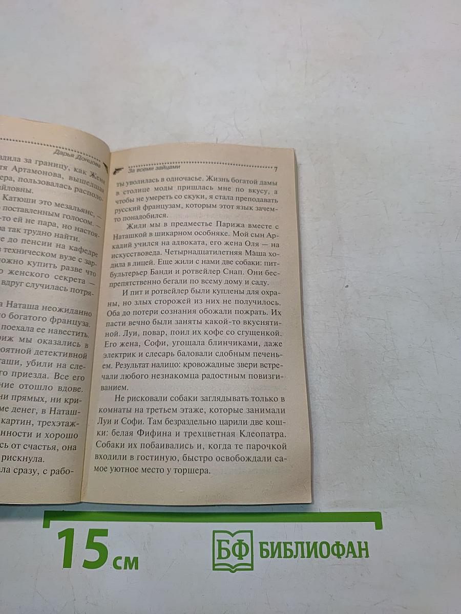 За всеми зайчами