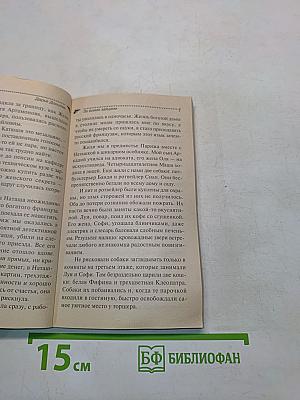 За всеми зайчами
