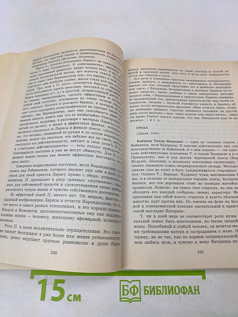 Все герои произведений русской литературы. Школьная программа: Словарь-справочник