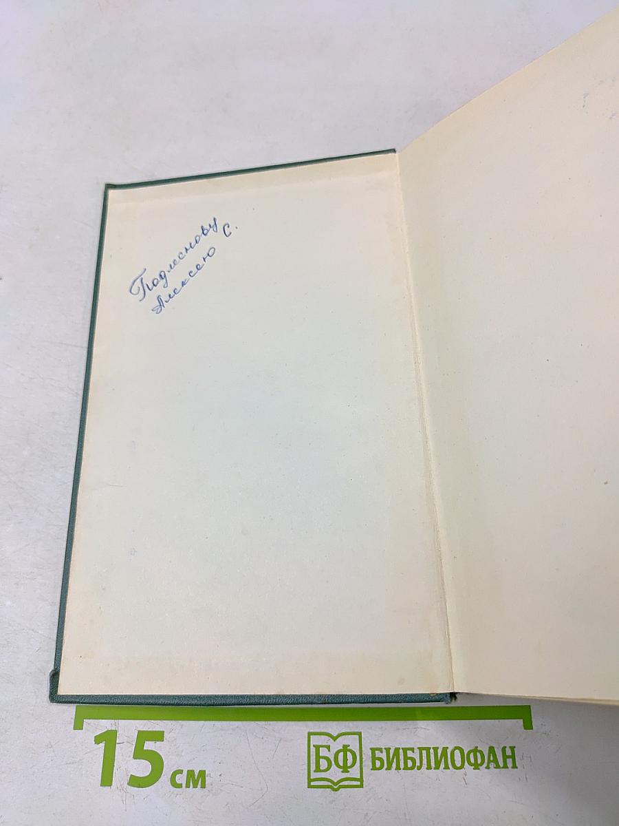 Большая Родня. Книга вторая