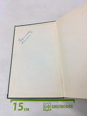 Большая Родня. Книга вторая