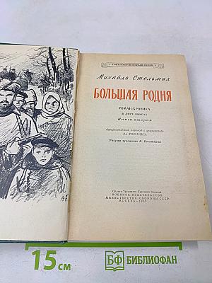 Большая Родня. Книга вторая