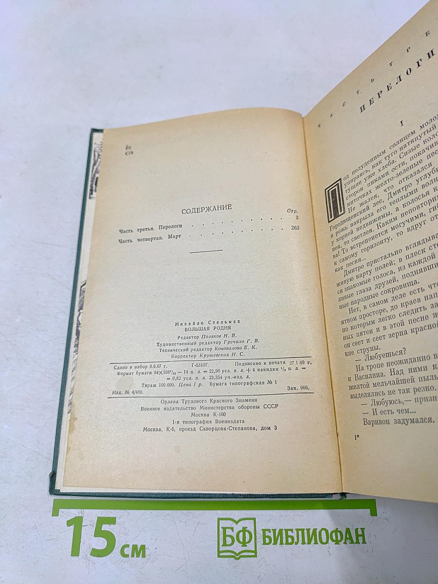 Большая Родня. Книга вторая
