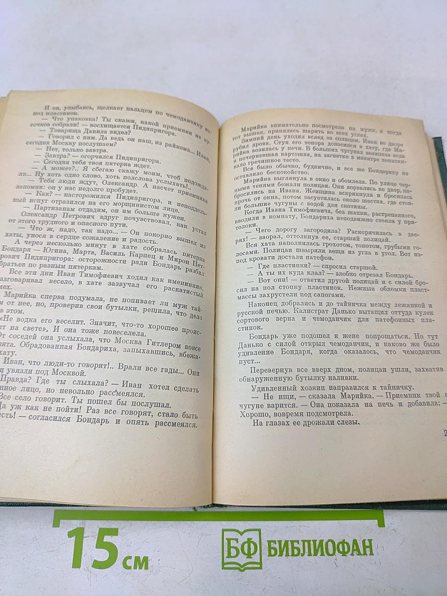 Большая Родня. Книга вторая