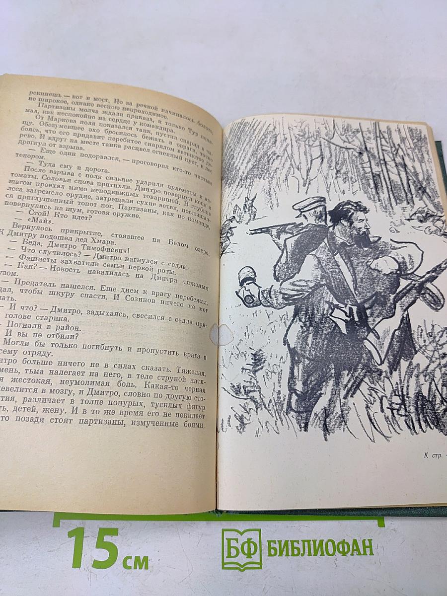 Большая Родня. Книга вторая