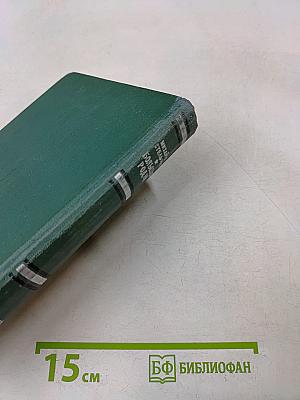 Большая Родня. Книга вторая