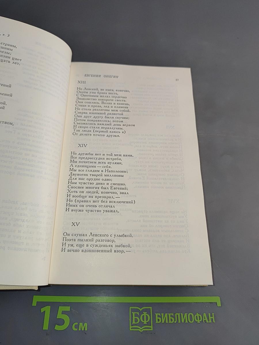 Сочинения. Том третий. Евгений Онегин. Романы и повести. Путешествие в Арзрум