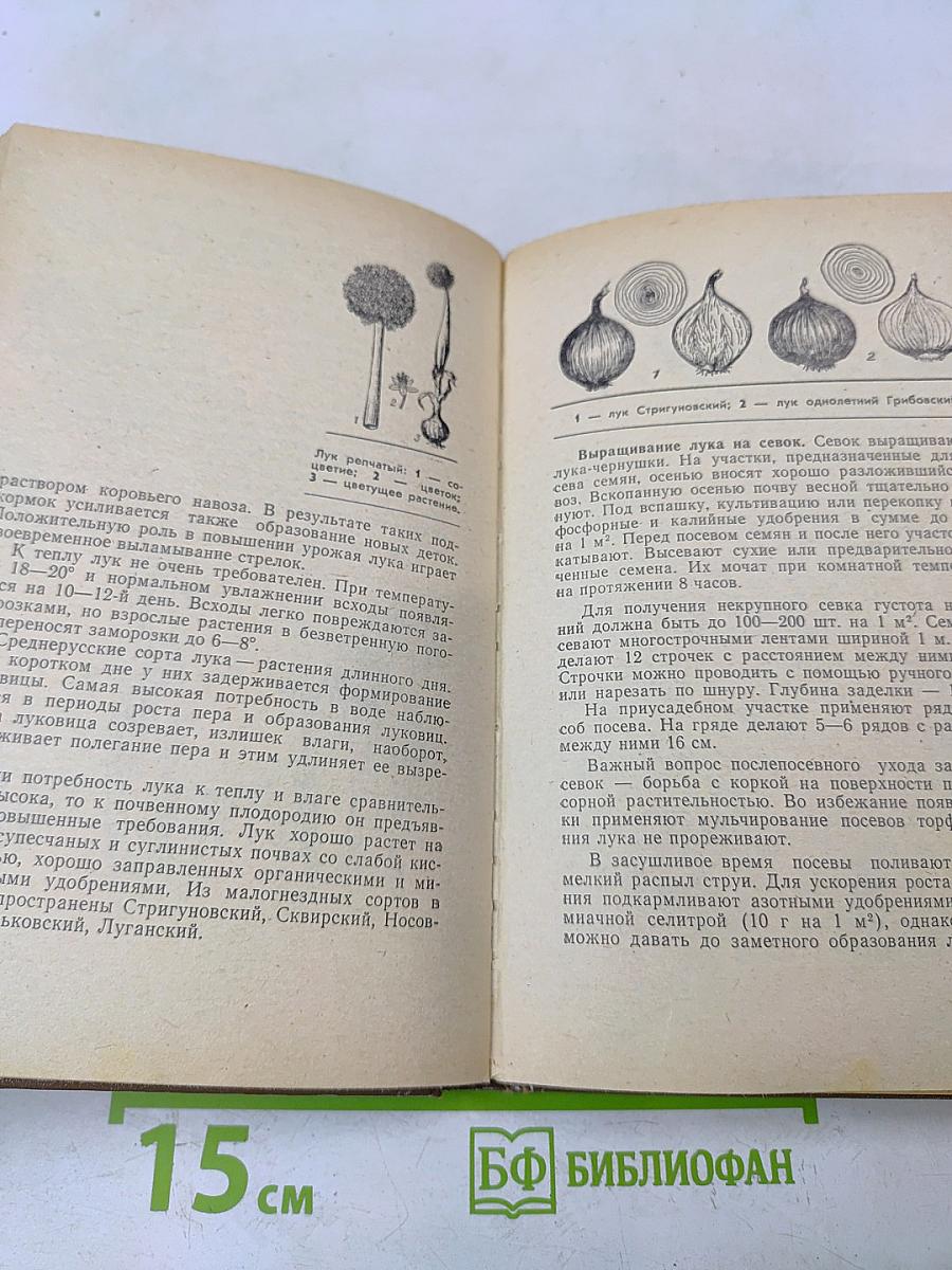 Сельское подворье