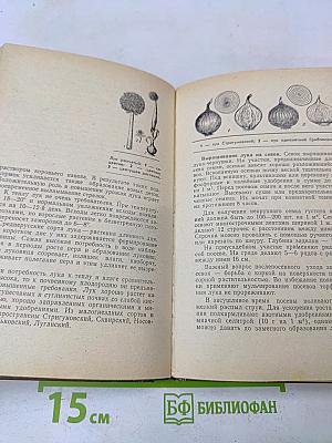 Сельское подворье