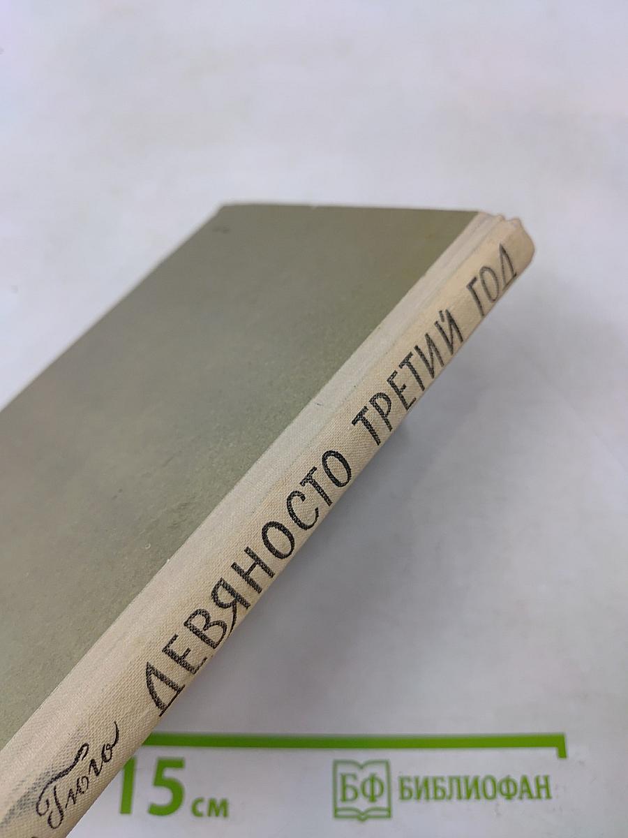 Девяносто третий год