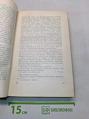 Собрание сочинений. Том одиннадцатый. Письма 1877-1892