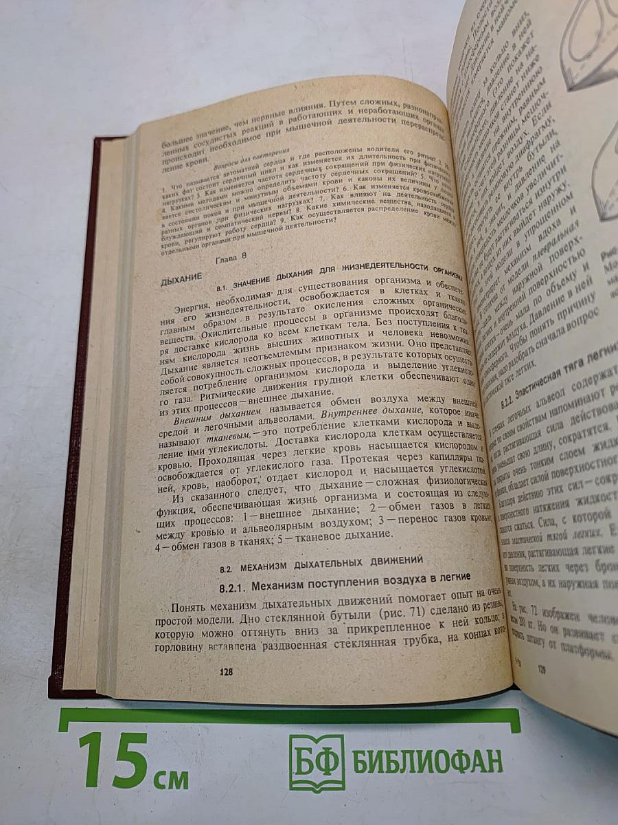 Физиология человека. Учебник для техникумов физической культуры