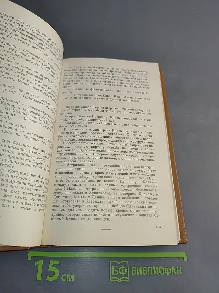 Грозный год. 1919-й. Огни в бухте