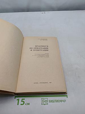 Практикум по орфографии и пунктуации