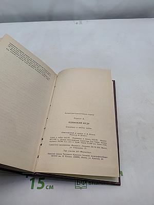 Одинокий кедр