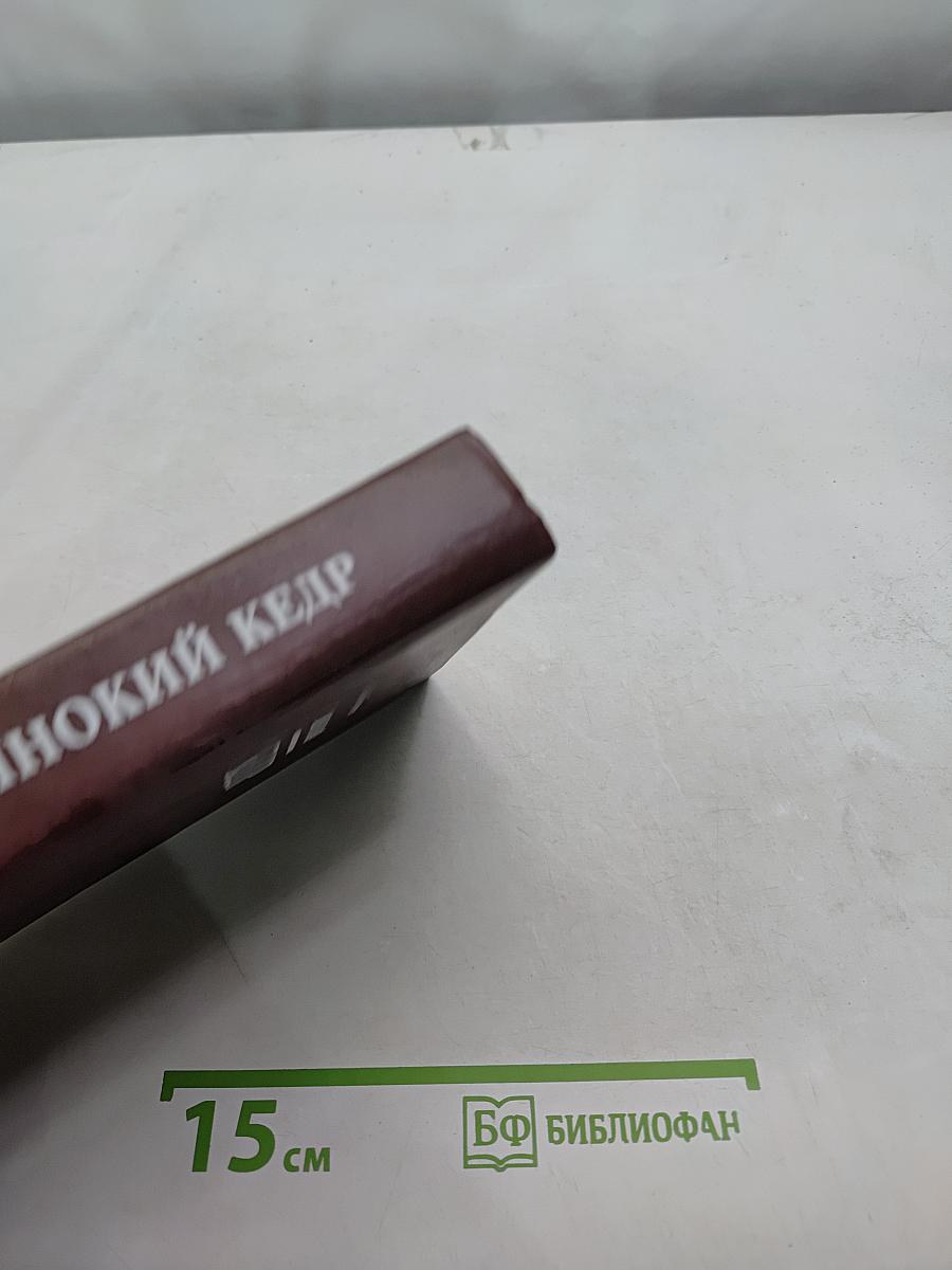 Одинокий кедр