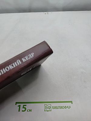 Одинокий кедр