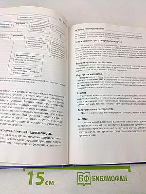 Почечная недостаточность и заместительная терапия