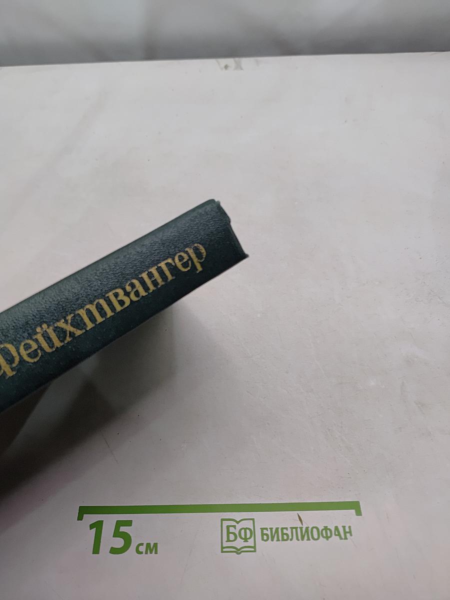 Безобразная герцогиня. Семья Опперман