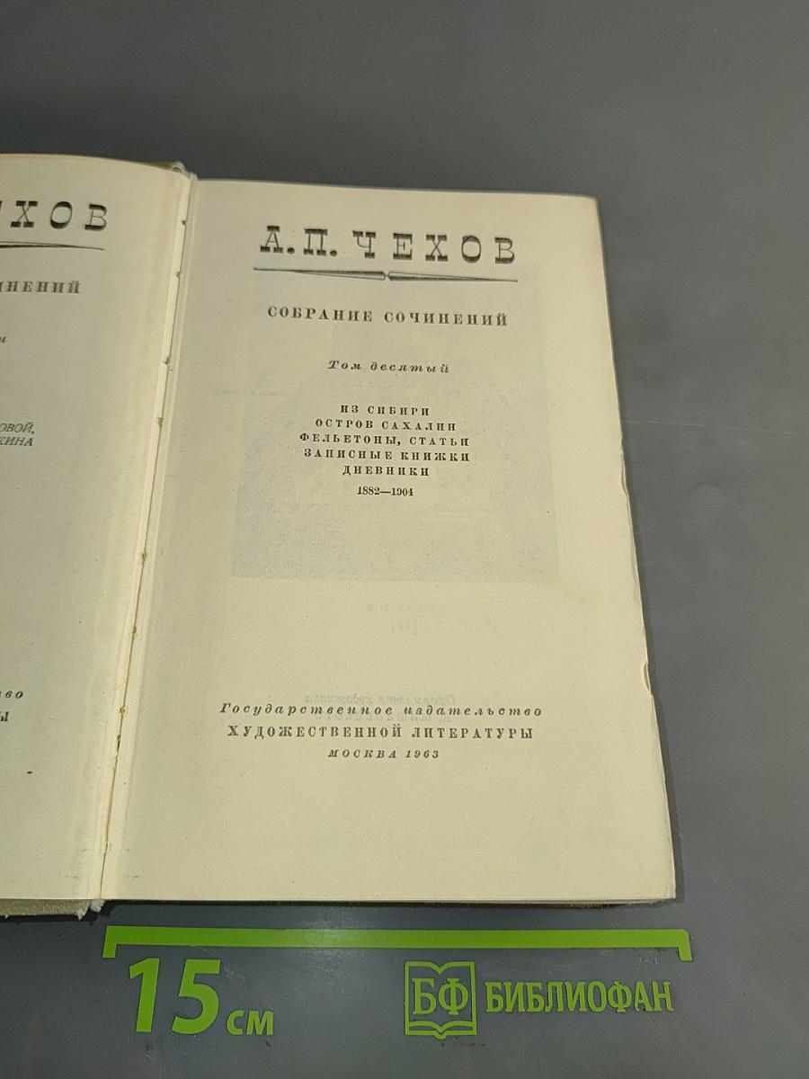 Собрание сочинений. Том десятый. Рассказы и остроумные случаи, фельетоны, статьи, записные книжки, дневники 1882-1904