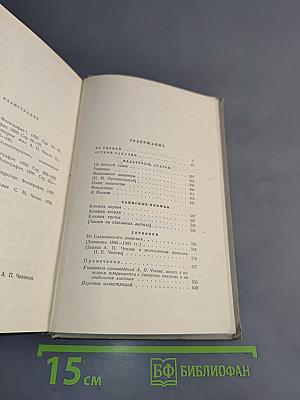 Собрание сочинений. Том десятый. Рассказы и остроумные случаи, фельетоны, статьи, записные книжки, дневники 1882-1904