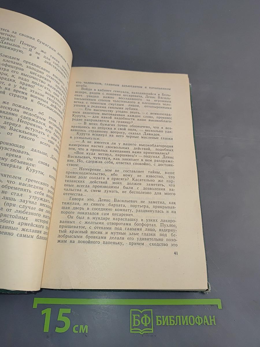 Денис Давыдов. Историческая хроника. Книга вторая