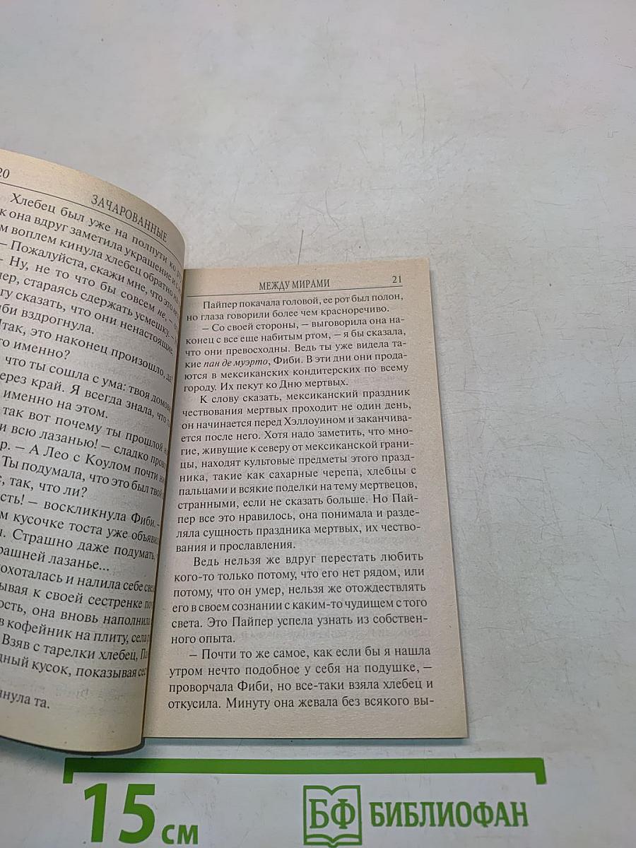 Зачарованные. Между мирами