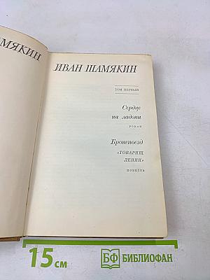 Сердце на ладони. Бронепоезд «Товарищ Ленин»