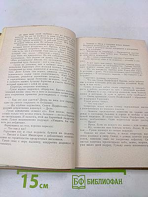 Сердце на ладони. Бронепоезд «Товарищ Ленин»