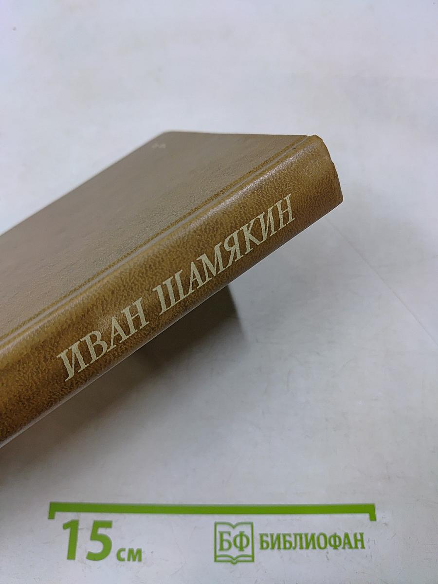 Сердце на ладони. Бронепоезд «Товарищ Ленин»