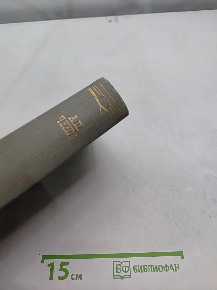 Собрание сочинений. Том двенадцатый. Письма 1880-1894