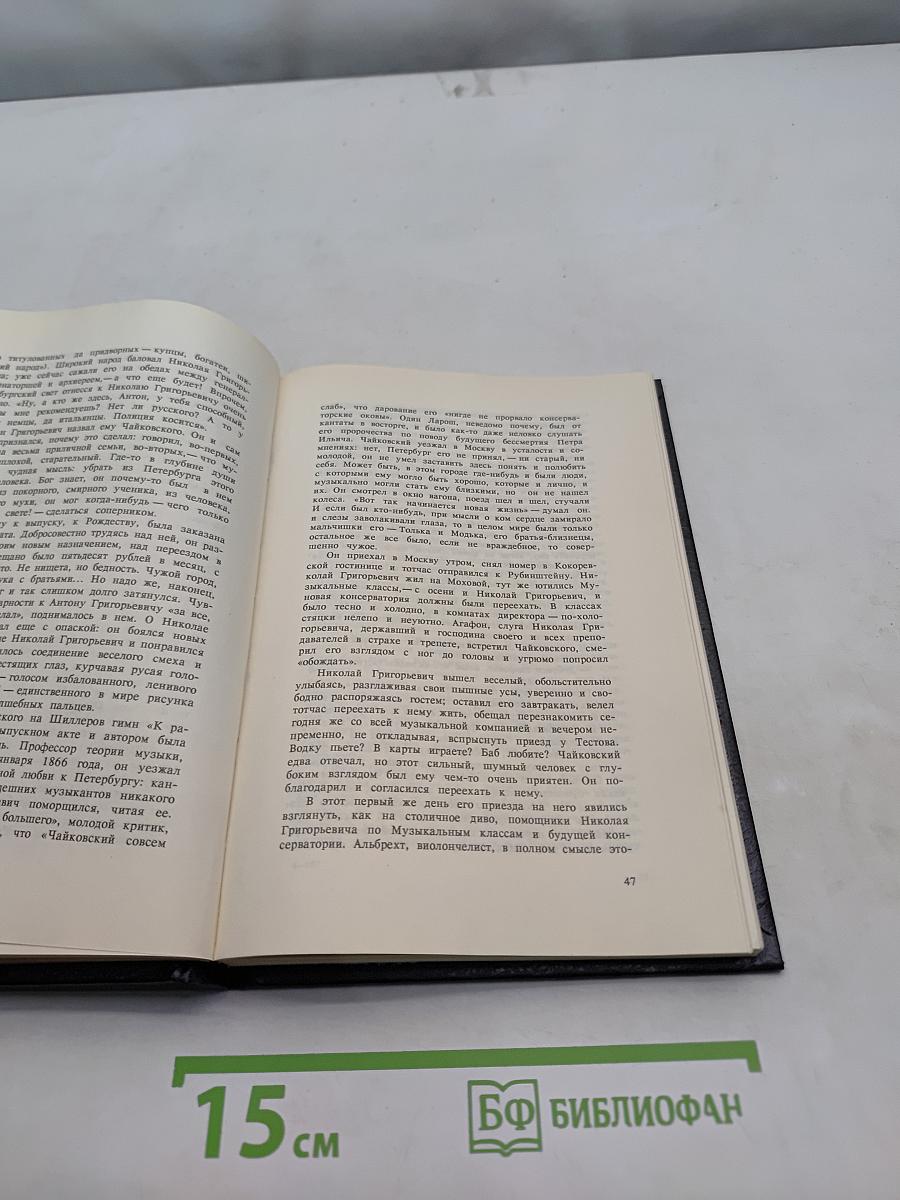 Чайковский. История одинокой жизни