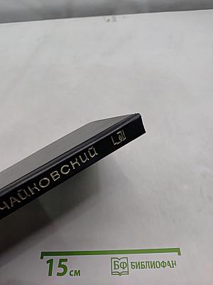 Чайковский. История одинокой жизни