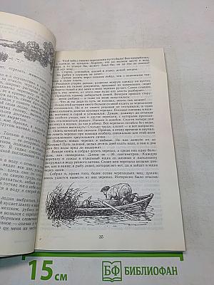 Встречи с животными