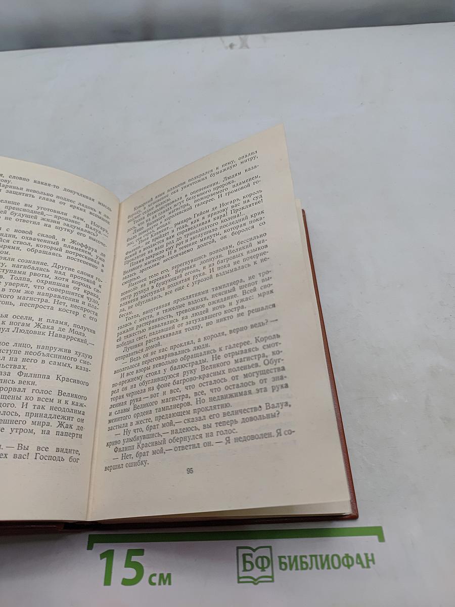 Железный король. Книга 3. Ильица Шам-Табара